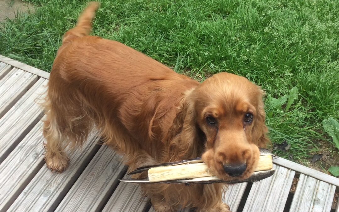 Vuosikokous 21.3.2026